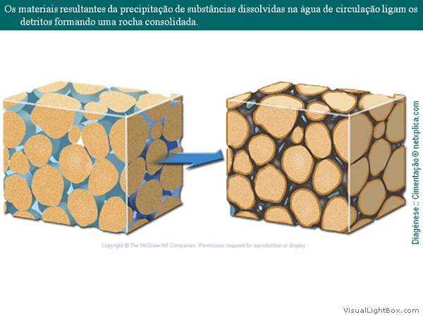 Diapositivo46