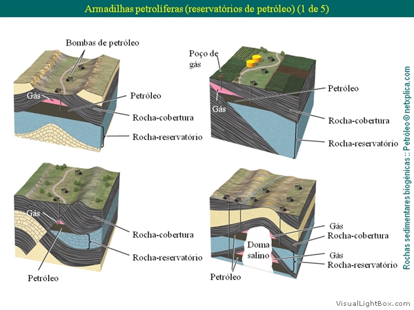 Diapositivo26