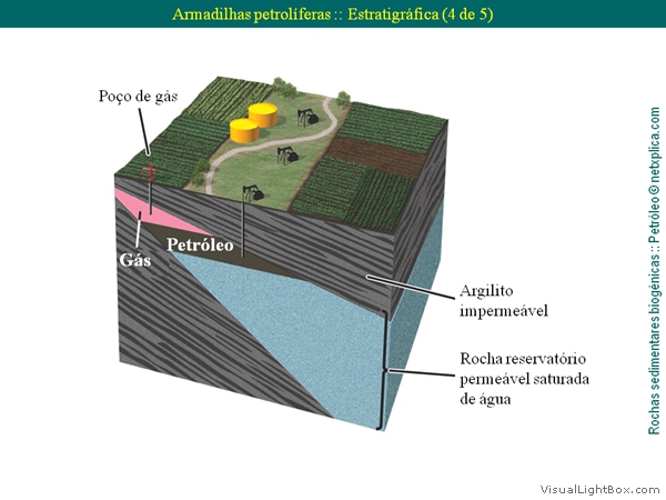 Diapositivo29