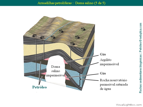 Diapositivo30