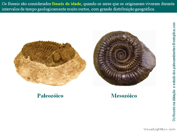 Diapositivo39