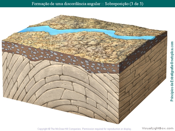 Diapositivo24