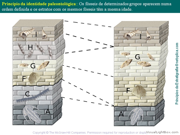 Diapositivo35