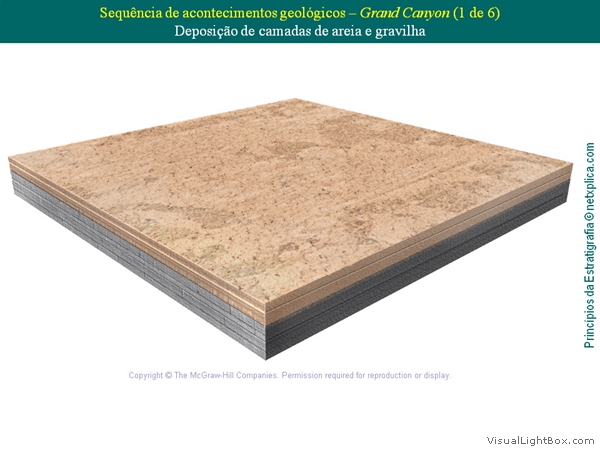 Diapositivo52