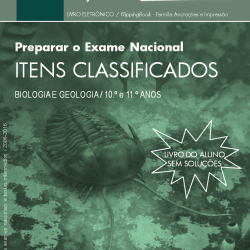 Itens Classificados (aluno)