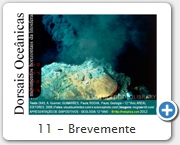 11 - Brevemente