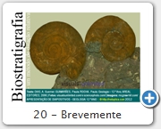 20 - Brevemente