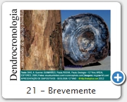 21 - Brevemente