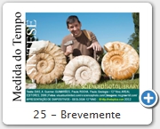 25 - Brevemente