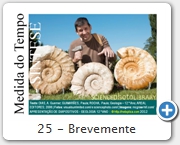 25 - Brevemente