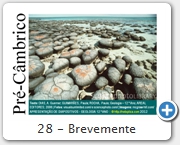 28 - Brevemente