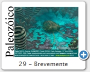 29 - Brevemente