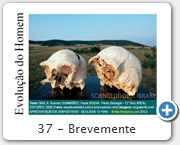 37 - Brevemente