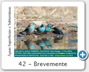 42 - Brevemente