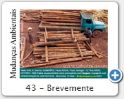 43 - Brevemente