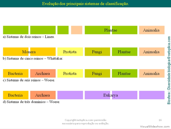 Diapositivo16