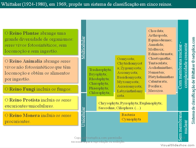 Diapositivo18