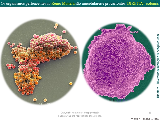 Diapositivo26