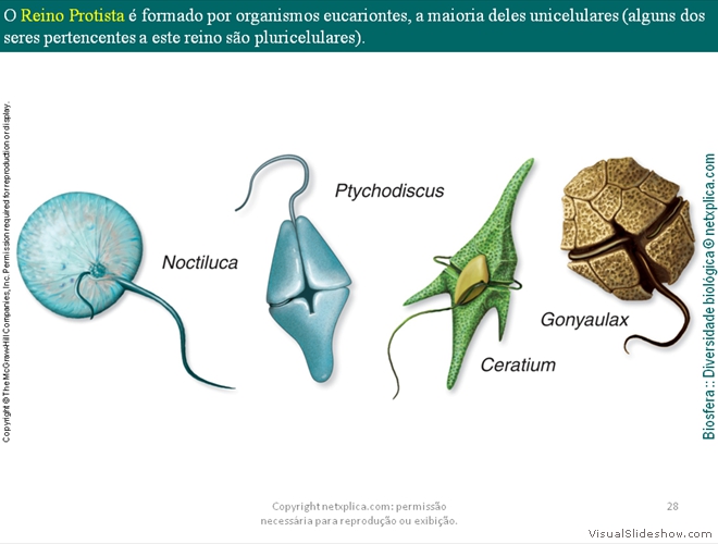 Diapositivo28