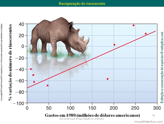 Diapositivo91