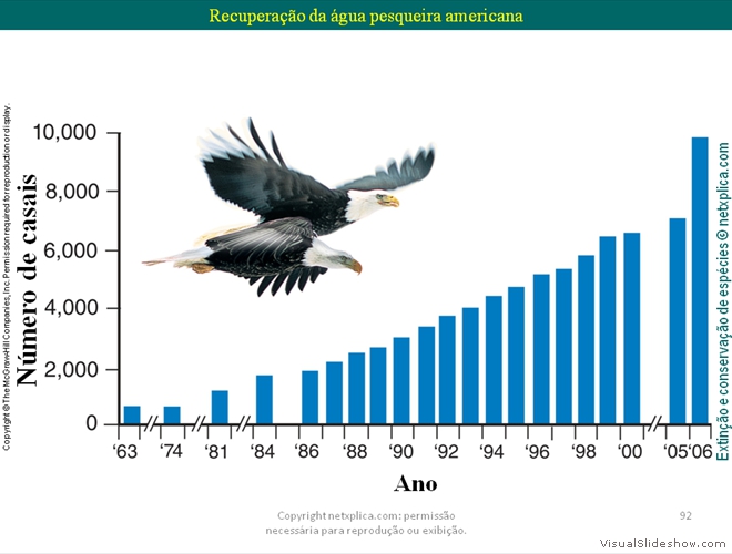 Diapositivo92