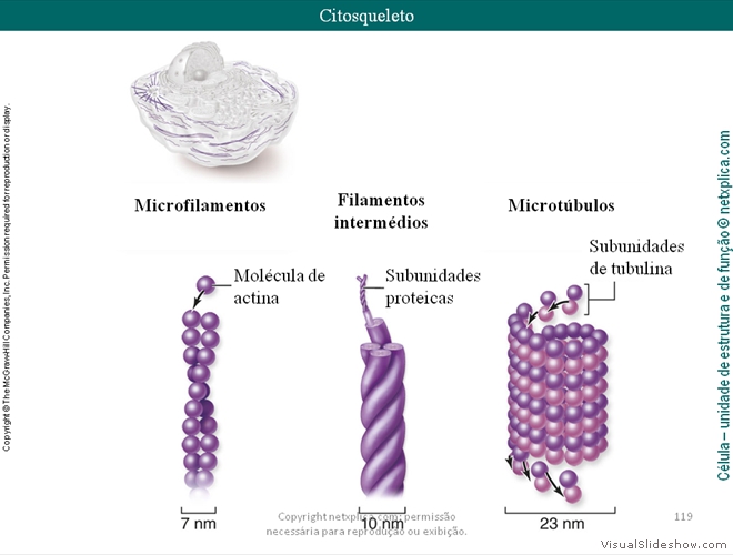 Diapositivo119