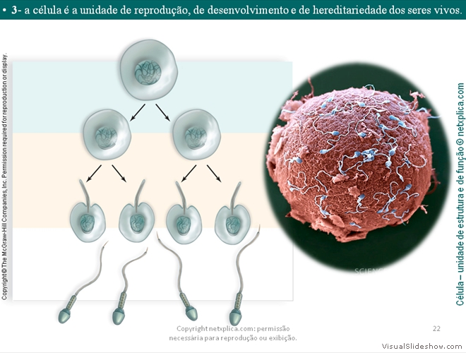 Diapositivo22