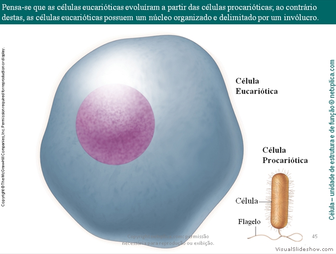 Diapositivo45