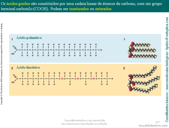 Diapositivo117