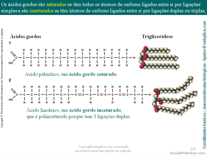 Diapositivo118