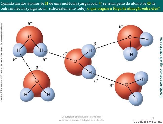 Diapositivo12