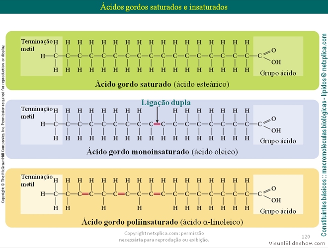 Diapositivo120