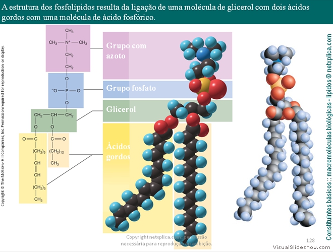 Diapositivo128