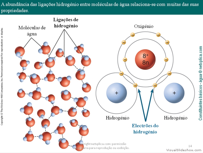 Diapositivo14