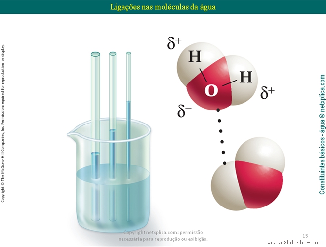 Diapositivo15