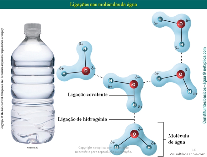 Diapositivo16