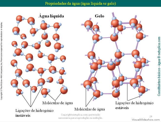 Diapositivo24