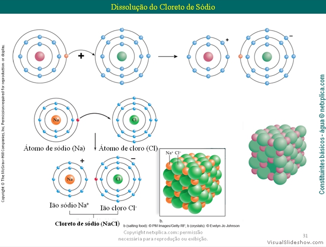 Diapositivo31