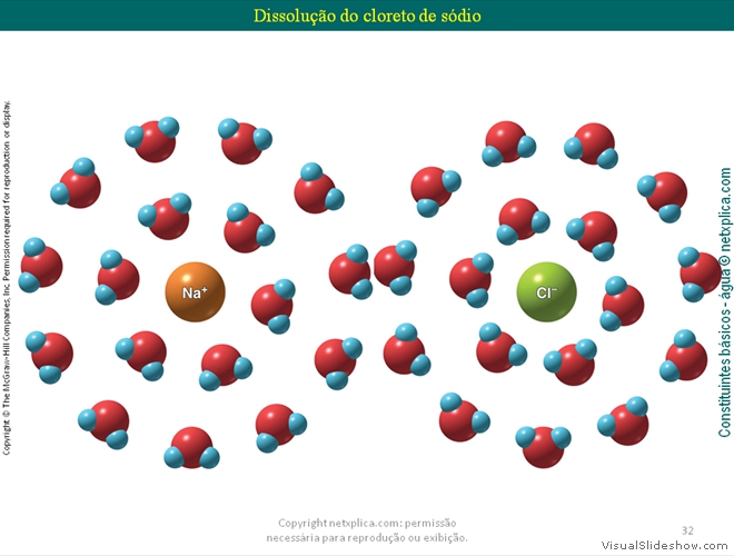 Diapositivo32