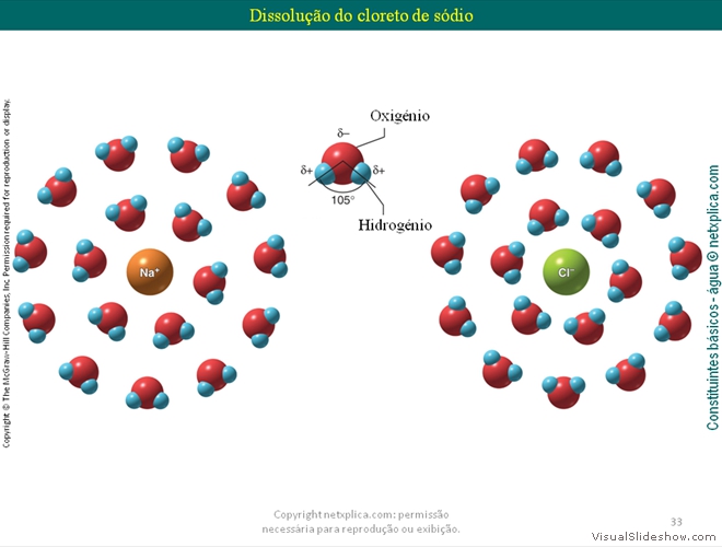 Diapositivo33