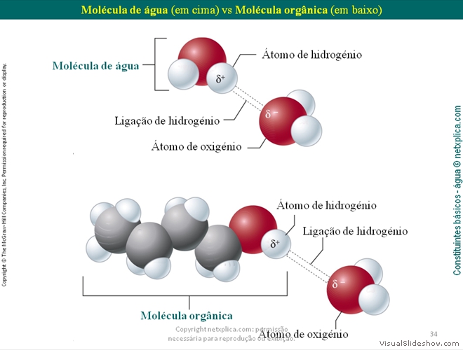 Diapositivo34