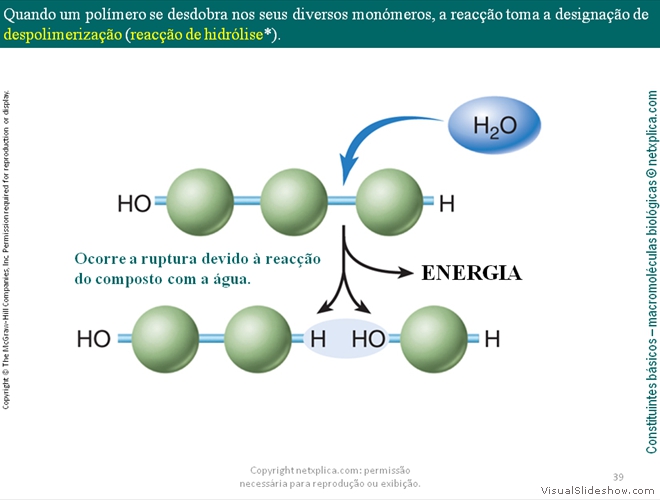 Diapositivo39