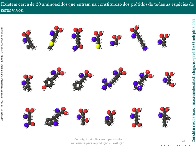 Diapositivo47