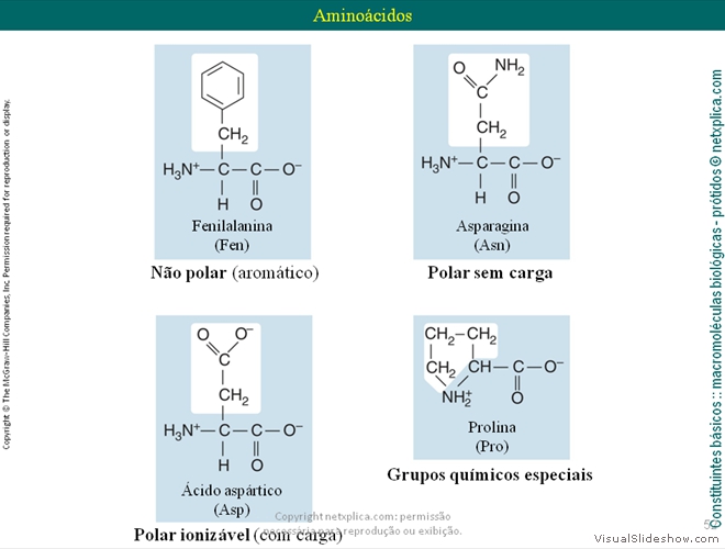 Diapositivo52