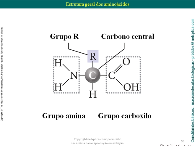 Diapositivo55