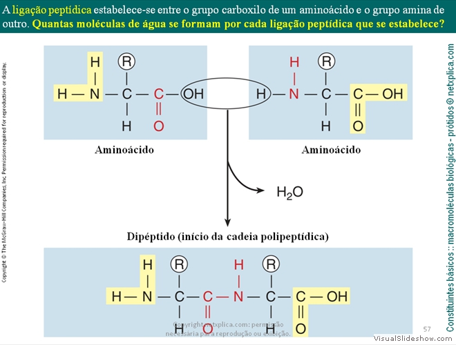 Diapositivo57