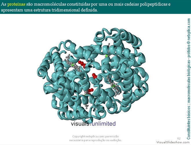 Diapositivo62