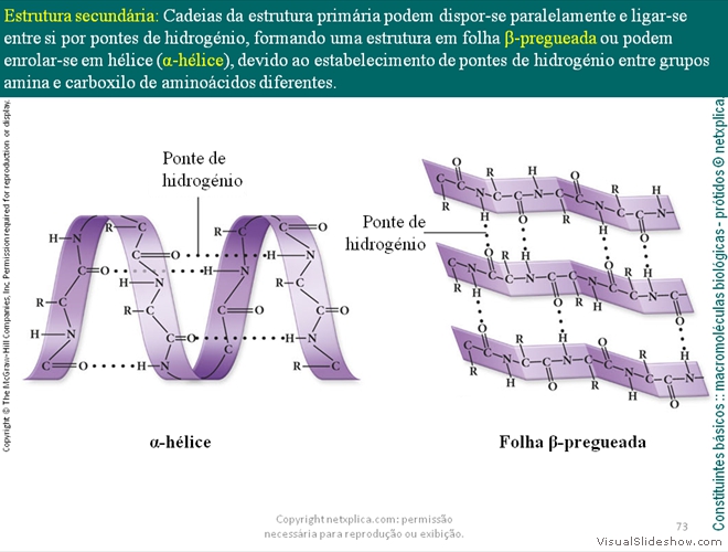 Diapositivo73