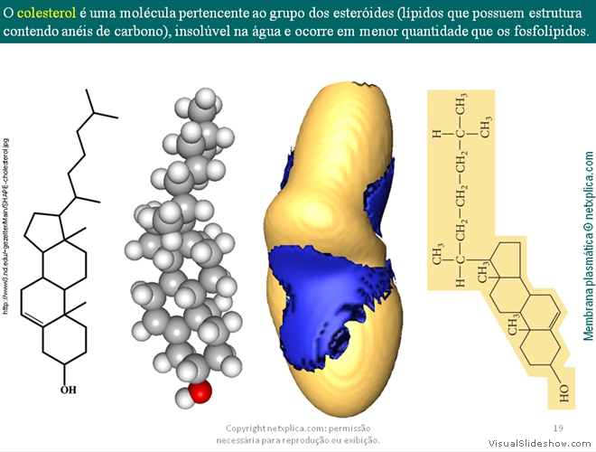 Diapositivo19