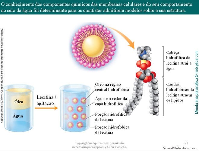 Diapositivo23